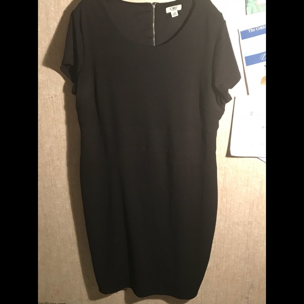 Plus Cato Little Black Dress